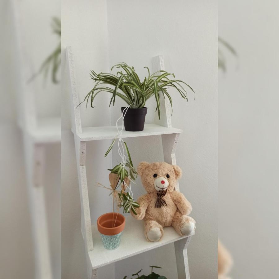 Martha'S Place Drac Podgorica Zewnętrze zdjęcie